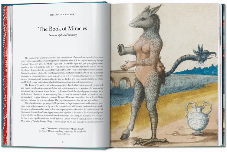 Produktbild: The Book of Miracles
