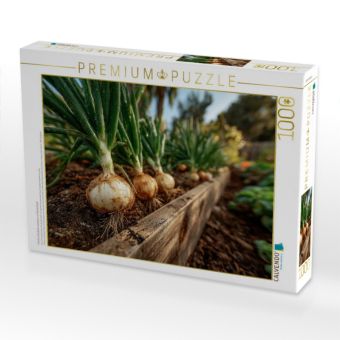 Produktbild: CALVENDO Puzzle Frische Zwiebeln wachsen im Gartenbeet | 1000 Teile Lege-Gr&ouml;&szlig;e 64x48cm Foto-Puzzle f&uuml;r gl&uuml;ckliche Stunden
