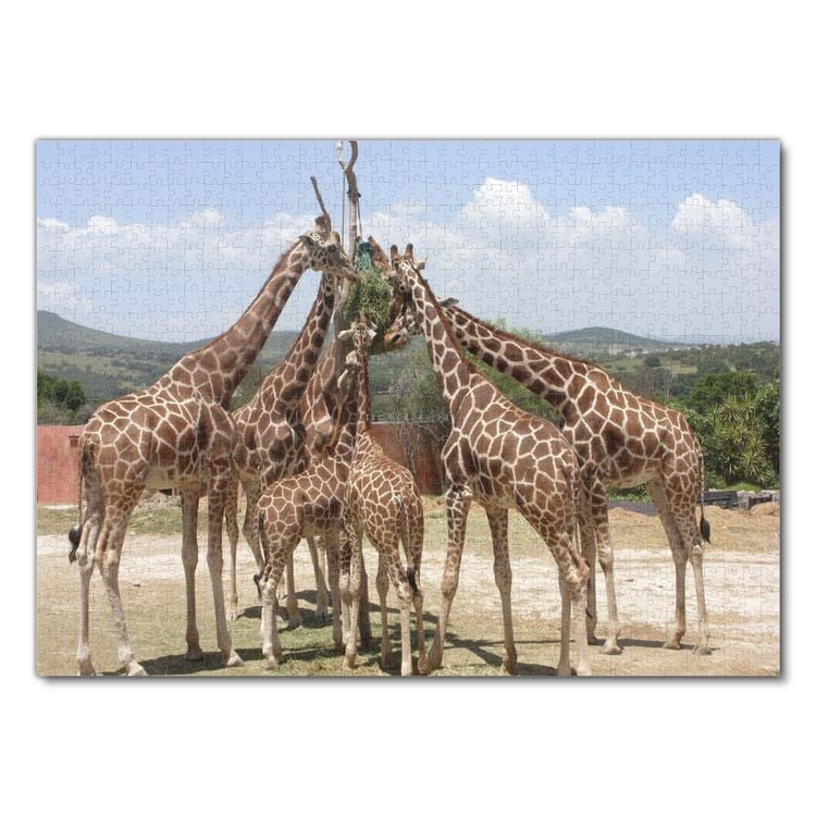 Produktbild: Lais Puzzle Giraffen 1000 Teile