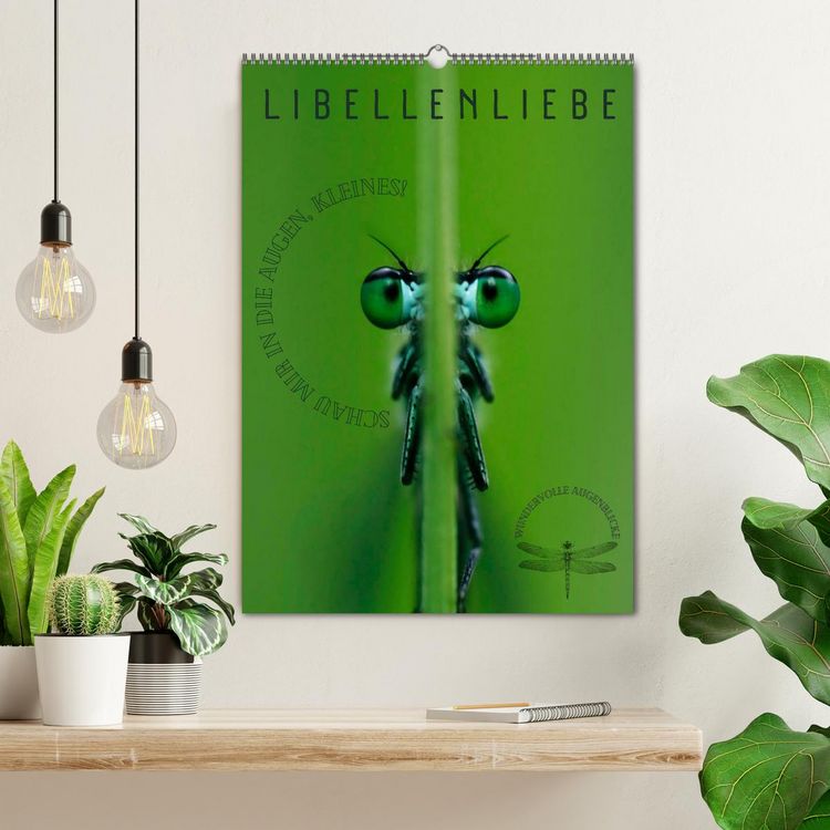 Produktbild: LibellenLiebe - Schau mir in die Augen, Kleines! (Wandkalender 2026 DIN A2 hoch), CALVENDO Monatskalender