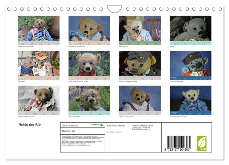 Produktbild: Robin der B&auml;r (Wandkalender 2026 DIN A4 quer), CALVENDO Monatskalender