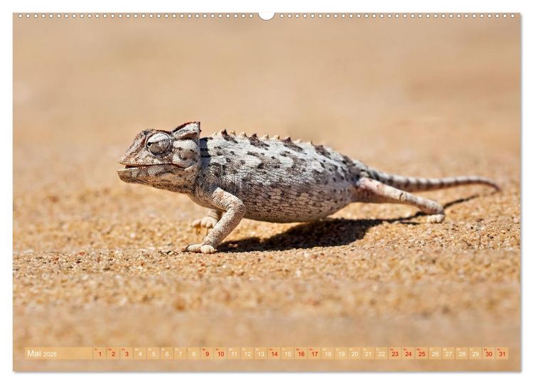 Produktbild: Namibias faszinierende Tierwelt (hochwertiger Premium Wandkalender 2026 DIN A2 quer), Kunstdruck in Hochglanz