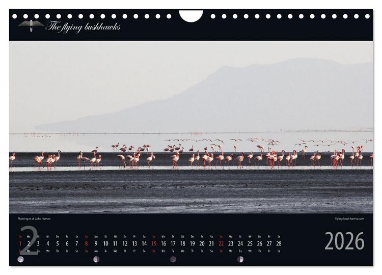 Produktbild: Tansania Blickwinkel 2026 (Wandkalender 2026 DIN A4 quer), CALVENDO Monatskalender