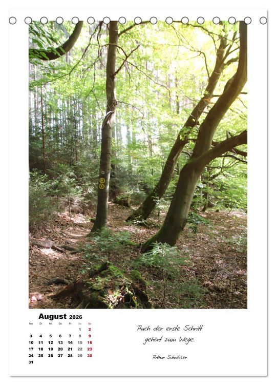 Produktbild: Wege durchs Jahr - Spazierg&auml;nge im sch&ouml;nen Nordhessen (Tischkalender 2026 DIN A5 hoch), CALVENDO Monatskalender