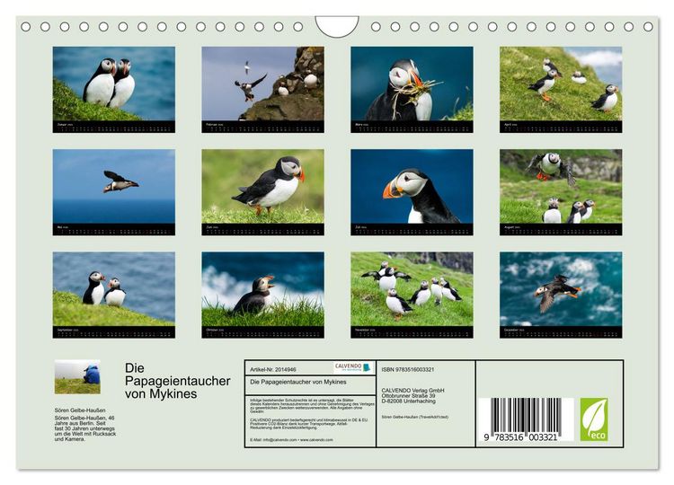 Produktbild: Die Papageientaucher von Mykines (Wandkalender 2026 DIN A4 quer), CALVENDO Monatskalender