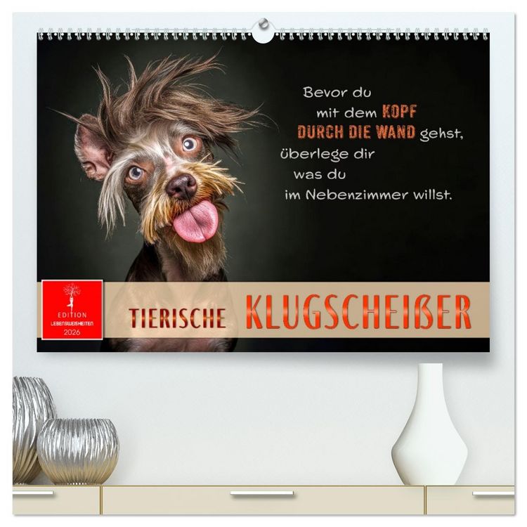 Produktbild: Tierische Klugschei&szlig;er (hochwertiger Premium Wandkalender 2026 DIN A2 quer), Kunstdruck in Hochglanz