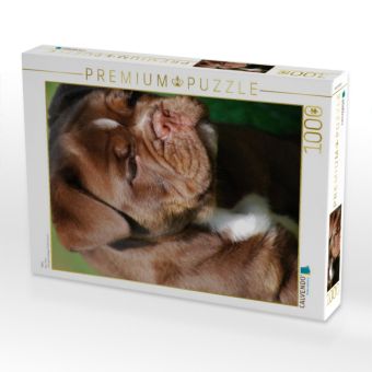 Produktbild: CALVENDO Puzzle Abby | 1000 Teile Lege-Gr&ouml;&szlig;e 64x48cm Foto-Puzzle f&uuml;r gl&uuml;ckliche Stunden