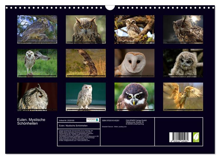 Produktbild: Eulen. Mystische Sch&ouml;nheiten (Wandkalender 2026 DIN A3 quer), CALVENDO Monatskalender