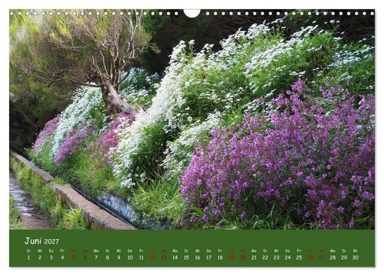 Produktbild: Levadawandern auf Madeira (Wandkalender 2027 DIN A3 quer), CALVENDO Monatskalender