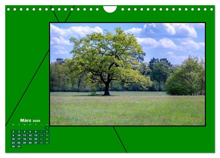 Produktbild: Heilende Farbe Gr&uuml;n (Wandkalender 2026 DIN A4 quer), CALVENDO Monatskalender