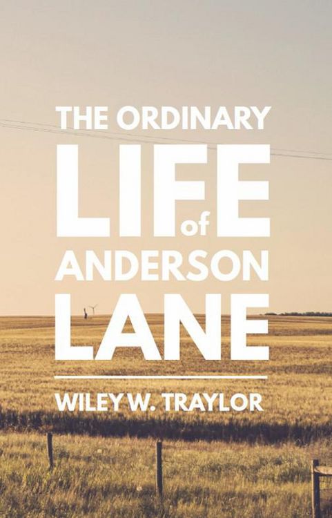 Produktbild: The Ordinary Life of Anderson Lane