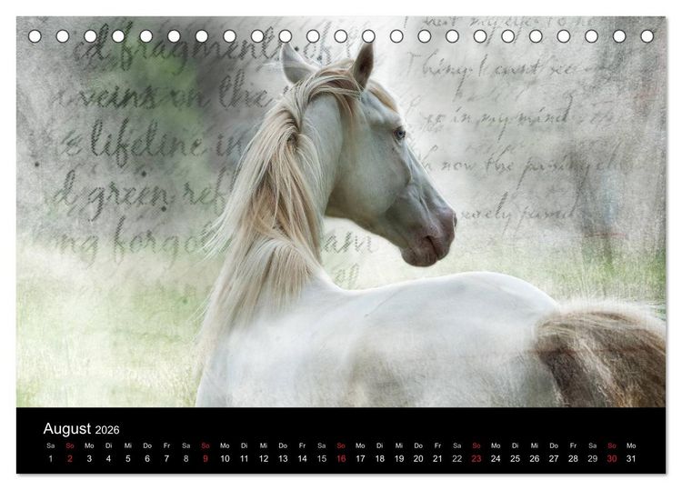 Produktbild: Pferde zum Tr&auml;umen (Tischkalender 2026 DIN A5 quer), CALVENDO Monatskalender