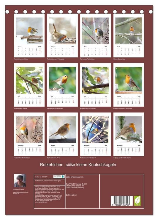 Produktbild: Rotkehlchen, s&uuml;&szlig;e kleine Knutschkugeln (Tischkalender 2026 DIN A5 hoch), CALVENDO Monatskalender