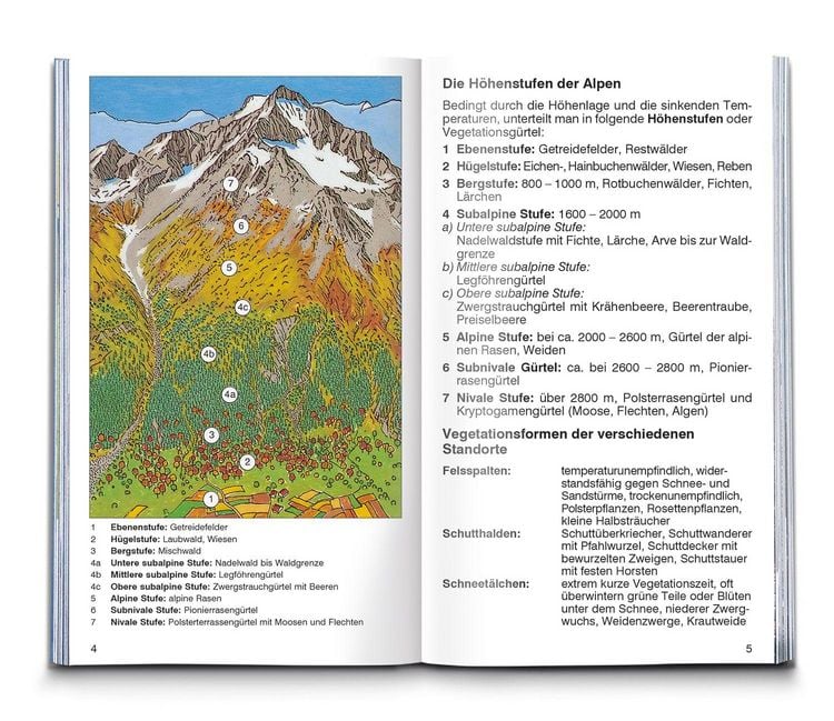Produktbild: Alpenblumen