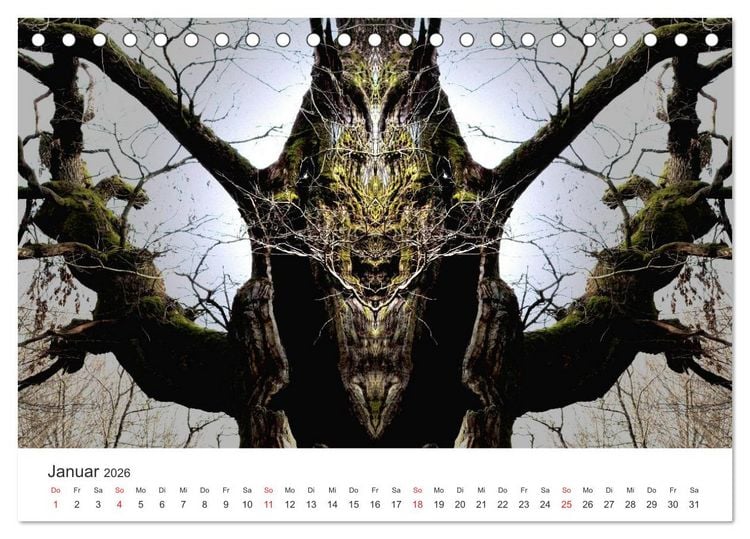 Produktbild: Spiegelwelten - Natur anders sehen (Tischkalender 2026 DIN A5 quer), CALVENDO Monatskalender