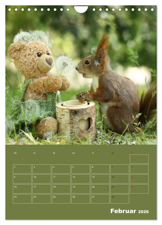 Produktbild: Eichh&ouml;rnchen - Abenteuer mit Freund Teddy (Wandkalender 2026 DIN A4 hoch), CALVENDO Monatskalender