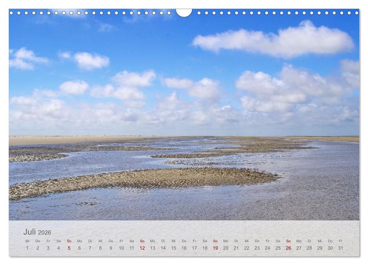 Produktbild: Salzwiesen, Schafe und Watt - Westerhever, ein Naturparadies an der Nordsee (Wandkalender 2026 DIN A3 quer), CALVENDO Monatskalender