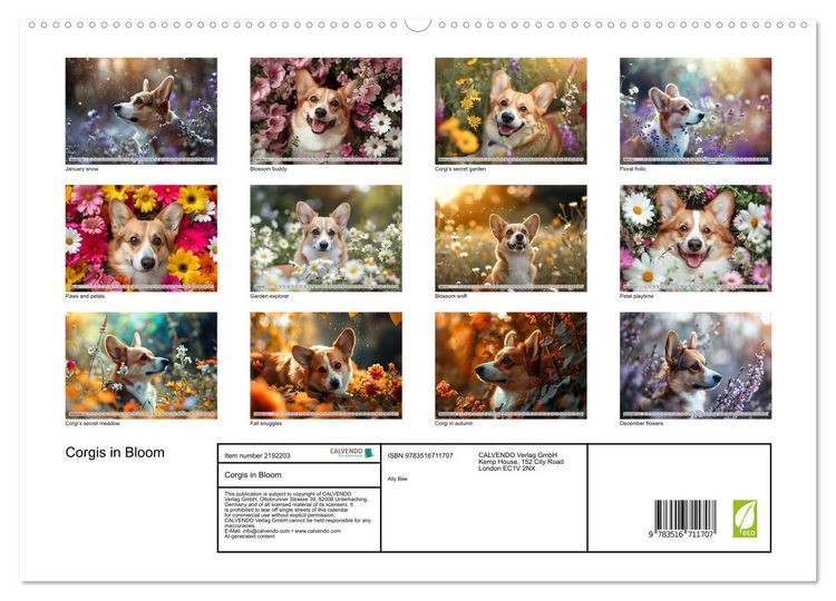Produktbild: Corgis in Bloom (High Quality Premium Wall Calendar 2026 DIN A2 landscape),CALVENDO 12 Month Wall Calendar