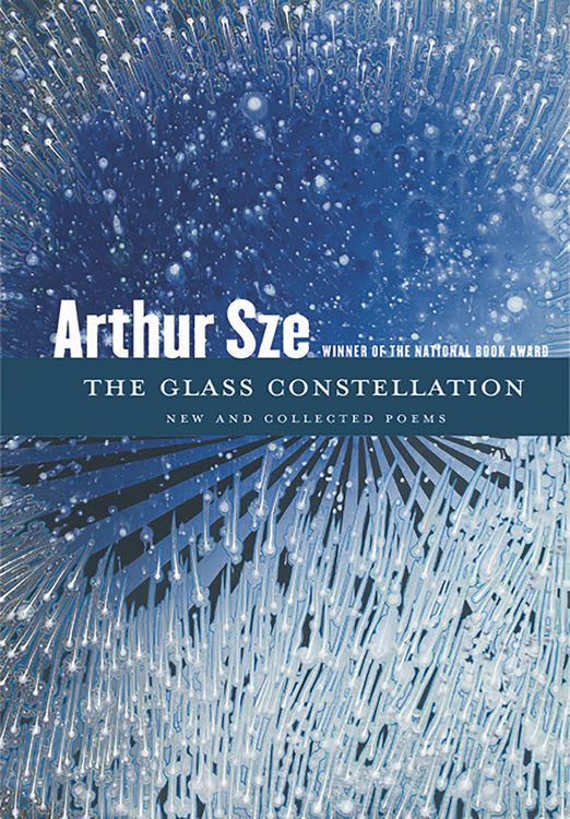 Produktbild: The Glass Constellation