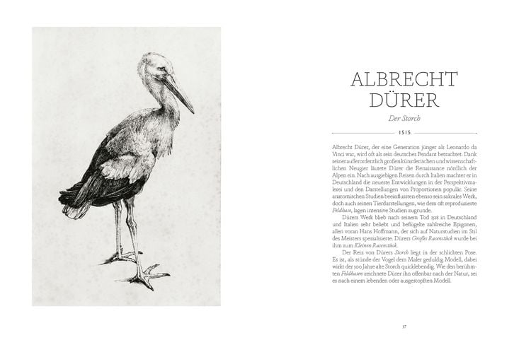 Produktbild: V&ouml;gel in der Kunst