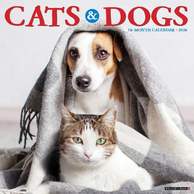 Produktbild: Cats & Dogs 2026 12 X 12 Wall Calendar