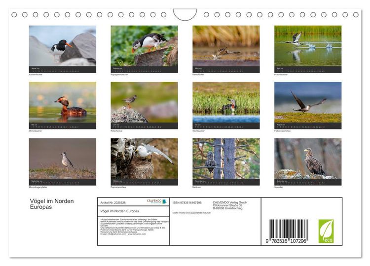 Produktbild: V&ouml;gel im Norden Europas (Wandkalender 2026 DIN A4 quer), CALVENDO Monatskalender