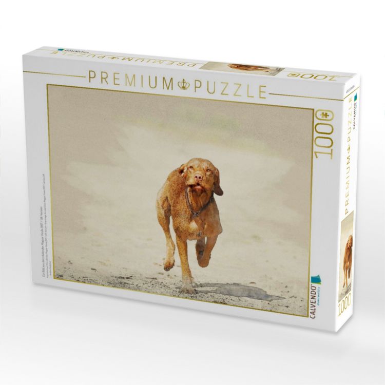 Produktbild: CALVENDO Puzzle Ein Bild aus dem Kalender Magyar Vizsla 2017 / UK-Version | 1000 Teile Lege-Gr&ouml;&szlig;e 64x48cm Foto-Puzzle f&uuml;r gl&uuml;ckliche Stunden