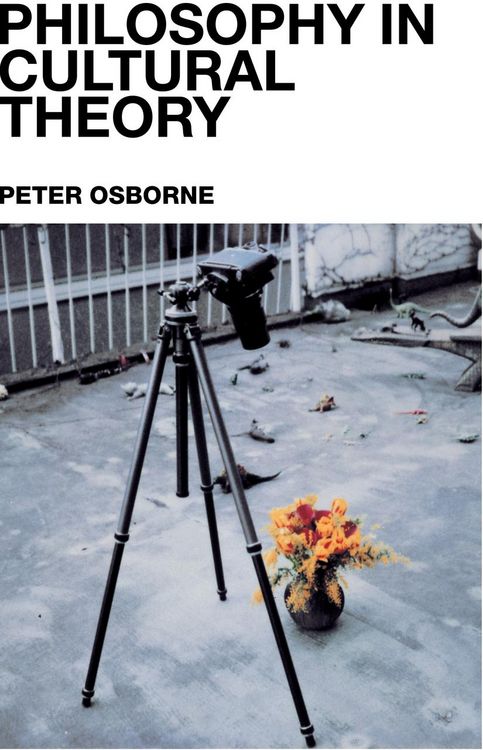 Produktbild: Philosophy in Cultural Theory