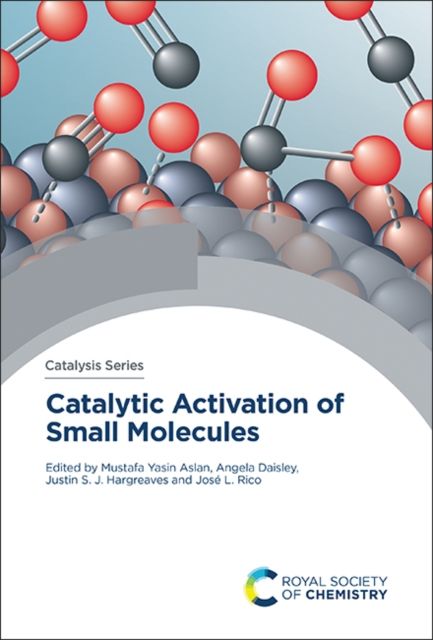 Produktbild: Catalytic Activation of Small Molecules