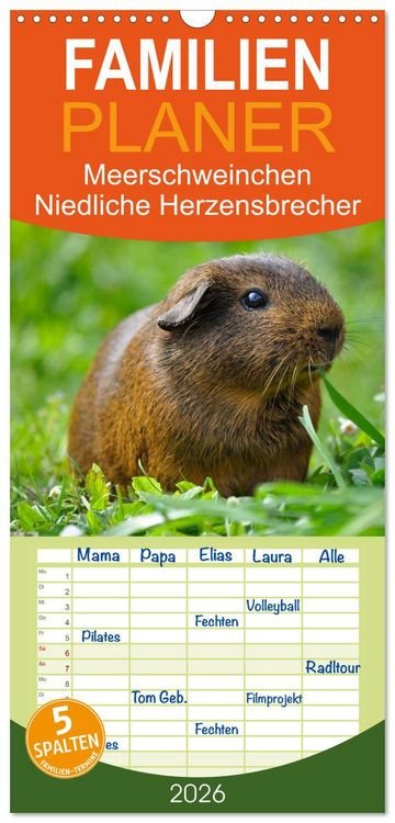 Produktbild: Familienplaner 2026 - Meerschweinchen Niedliche Herzensbrecher mit 5 Spalten (Wandkalender, 21 x 45 cm) CALVENDO