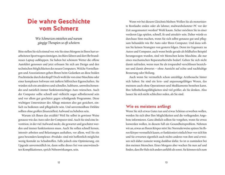 Produktbild: Die Schmerzfalle