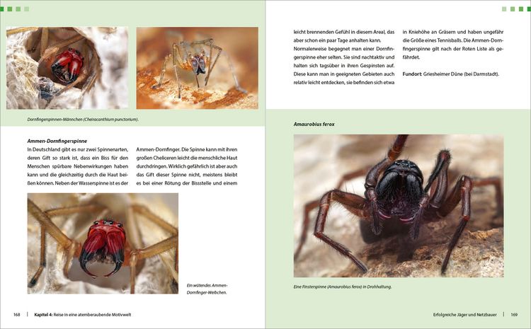 Produktbild: Extreme Wildlife-Makrofotografie