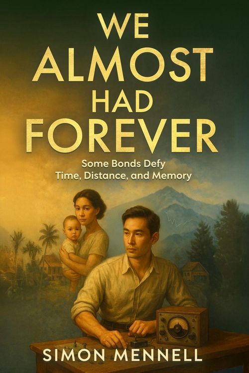 Produktbild: We Almost Had Forever