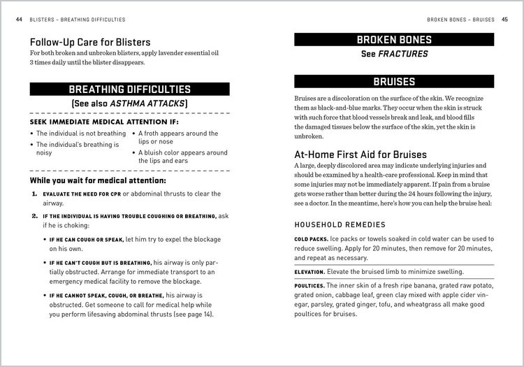 Produktbild: The Natural First Aid Handbook