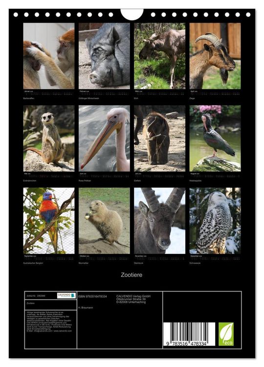Produktbild: Zootiere (Wandkalender 2026 DIN A4 hoch), CALVENDO Monatskalender
