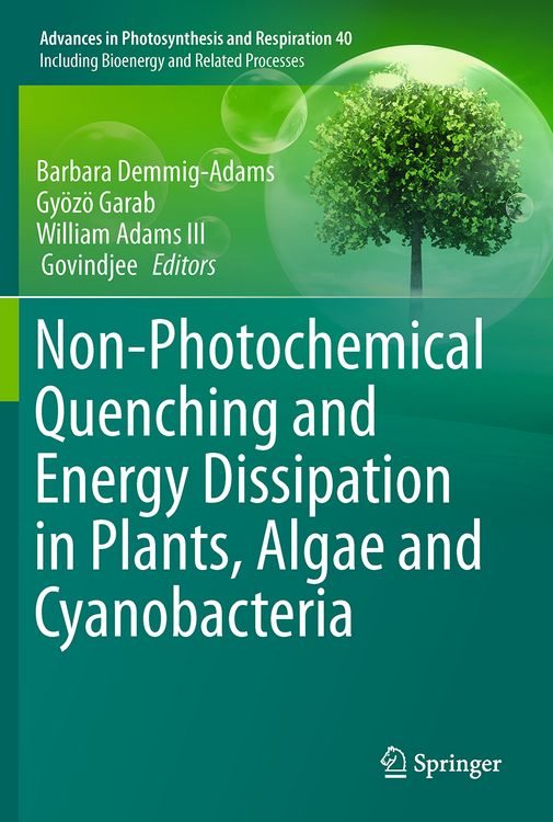 Produktbild: Non-Photochemical Quenching and Energy Dissipation in Plants, Algae and Cyanobacteria