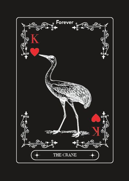 Produktbild: The Crane and the Nightjar