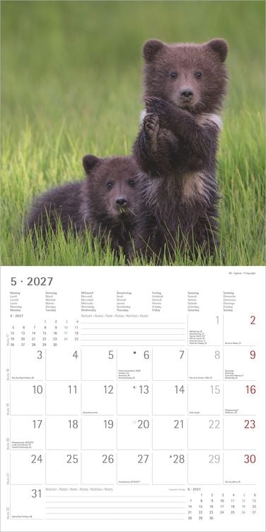 Produktbild: Tierbabys 2027