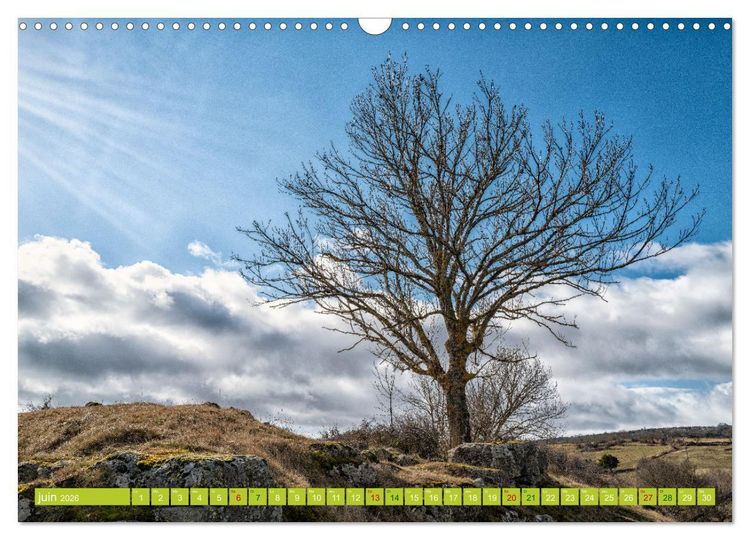 Produktbild: Solitude verdoyante (Calendrier mural 2026 DIN A3 vertical), CALVENDO calendrier mensuel