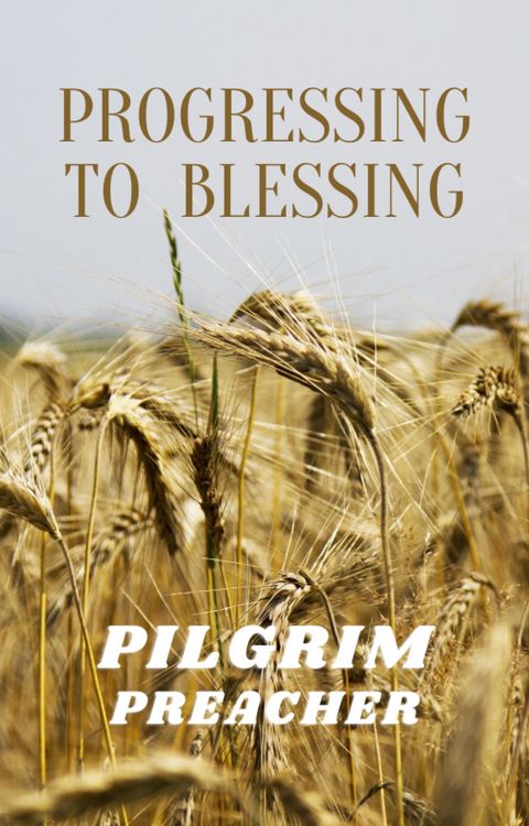 Produktbild: Progressing to Blessing (Revivalist Series, #3)