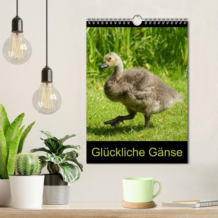 Produktbild: Gl&uuml;ckliche G&auml;nse (Wandkalender 2026 DIN A4 hoch), CALVENDO Monatskalender