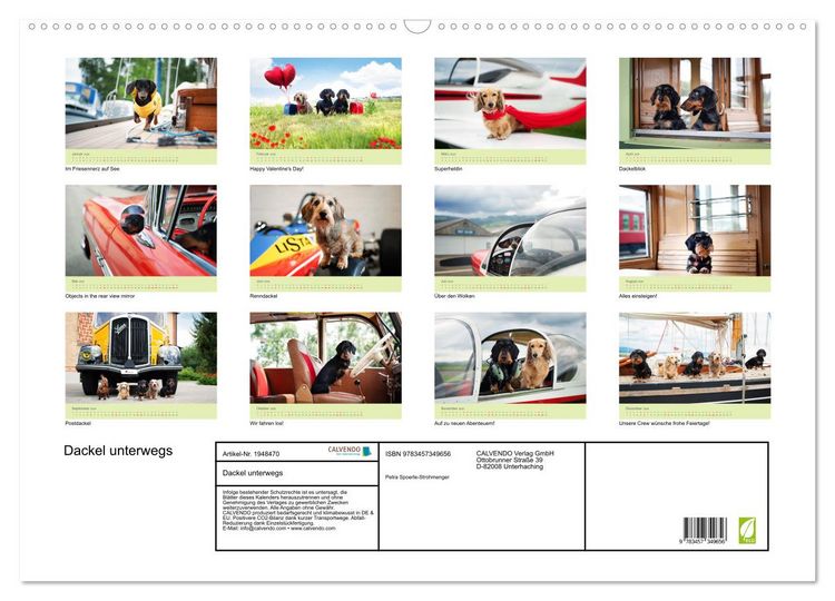 Produktbild: Dackel unterwegs (Wandkalender 2026 DIN A2 quer), CALVENDO Monatskalender