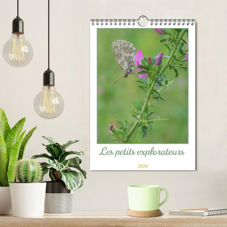 Produktbild: Les petits explorateurs (Calendrier mural 2026 DIN A4 horizontal), CALVENDO calendrier mensuel