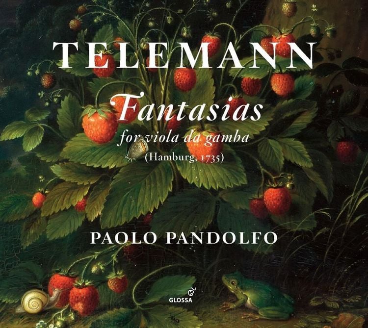 Produktbild: Fantasias For Viola da Gamba
