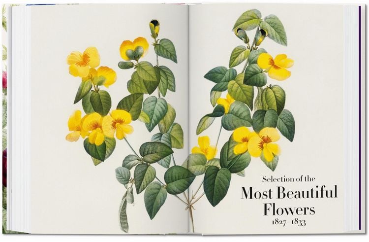 Pierre-Joseph Redouté. The Book of Flowers
