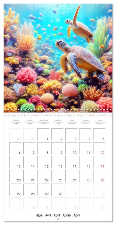 Produktbild: Sea Creatures of the Coral Reefs (Wall Calendar 2026 12 &times; 12 Inch) CALVENDO 12 Month Wall Calendar