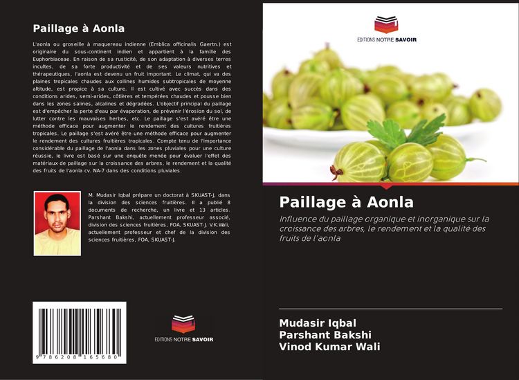 Produktbild: Paillage &agrave; Aonla