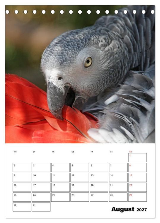 Produktbild: Papageien - Graupapagei, Rosella und Co. (Tischkalender 2027 DIN A5 hoch), CALVENDO Monatskalender