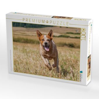 Produktbild: CALVENDO Puzzle Ein Motiv aus dem Kalender Power auf 4 Pfoten. Australian Cattle Dog | 1000 Teile Lege-Gr&ouml;&szlig;e 64x48cm Foto-Puzzle f&uuml;r gl&uuml;ckliche Stunde