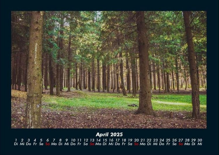 Produktbild: B&auml;ume 2025 Fotokalender DIN A4